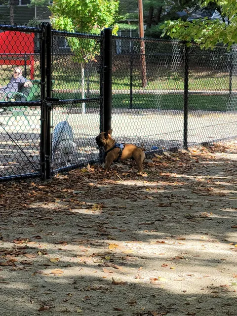 Kearny Dog Park