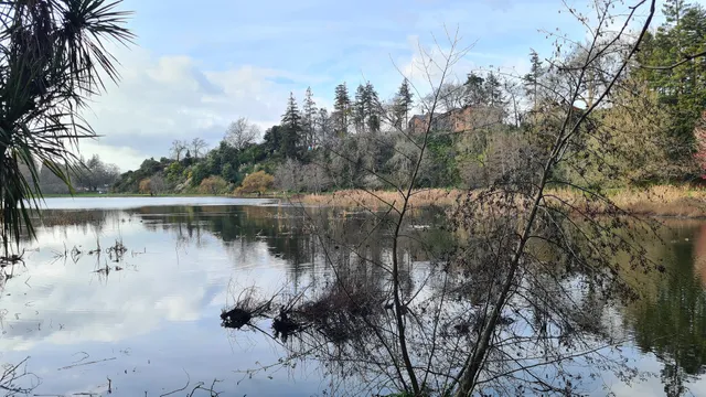 Te Koo Utu Lake Parking