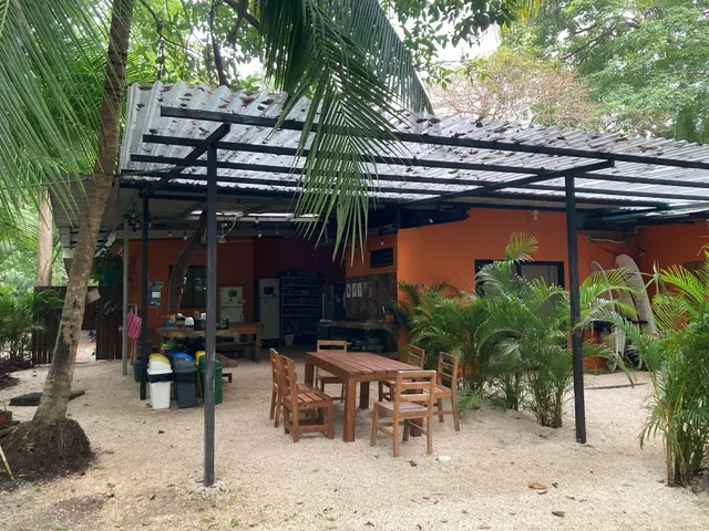 Zeneidas Surf Garden