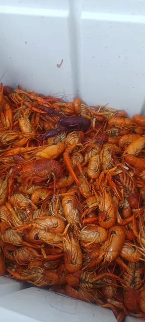 Bayou Boil & Que, LLC