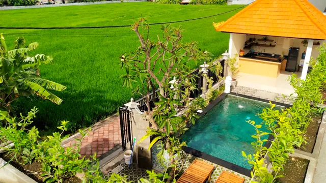 Umah Dangin Guesthouse Munggu