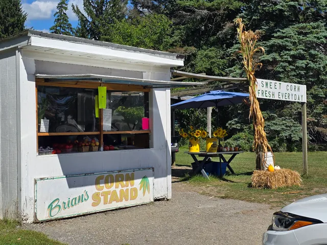 Awesome Corn Stand