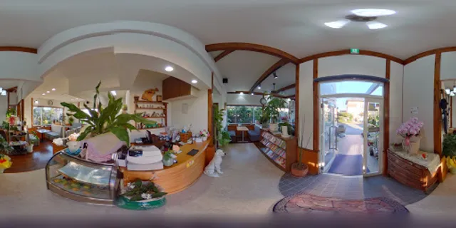 COFFEE Mode ぶどうの木