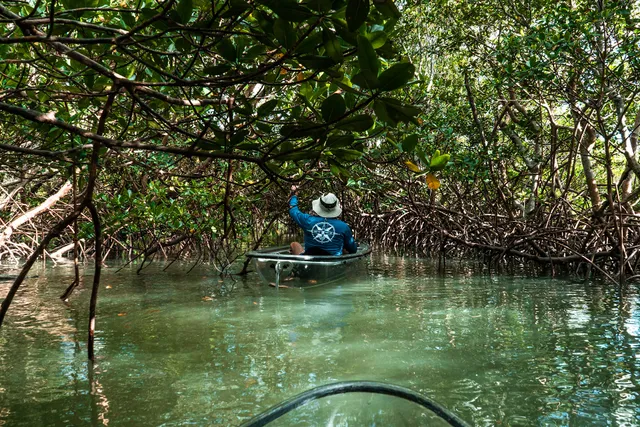 Get Up and Go Kayaking - Fort Pierce