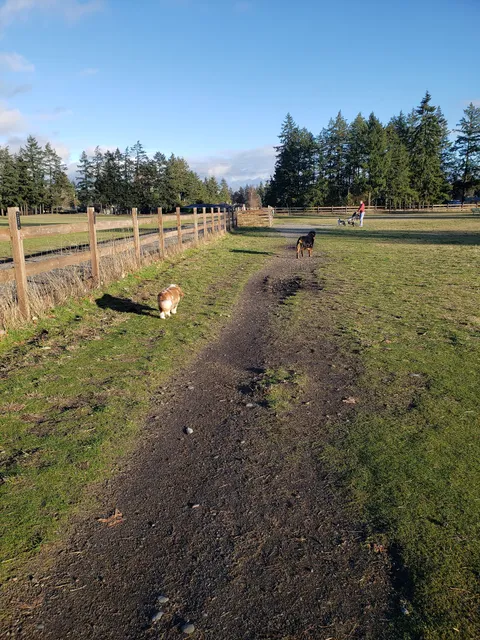 Fort Steilacoom Large Dog Park