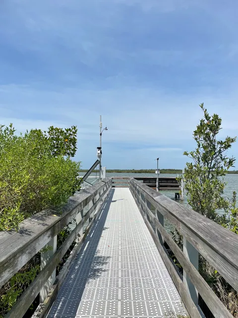 Canaveral National Seashore