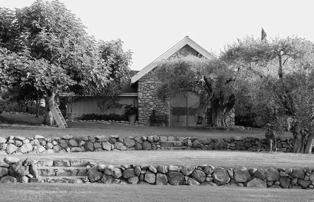 Grace Family Vineyards