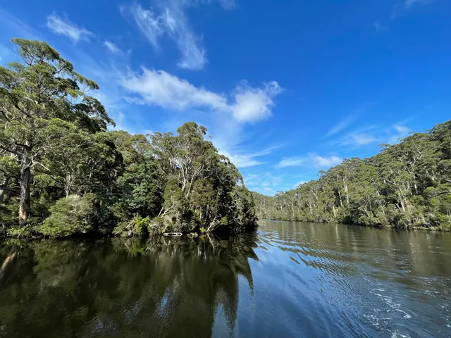 Arthur River Cruises