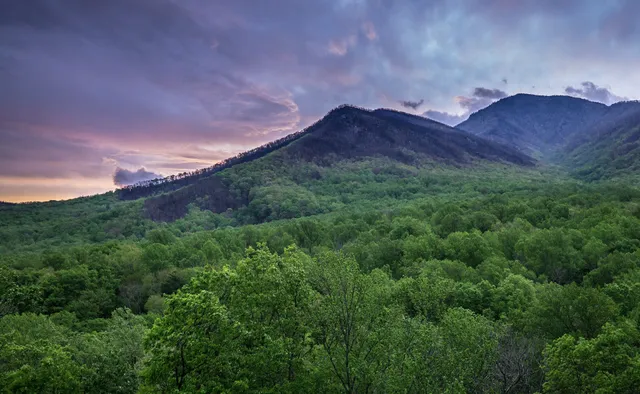 Carlos C. Campbell Overlook