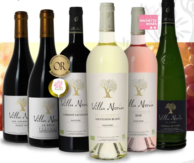 Domaine Villa Noria - Vins BIO Naturel- Picpoul - Vente à la Propriété