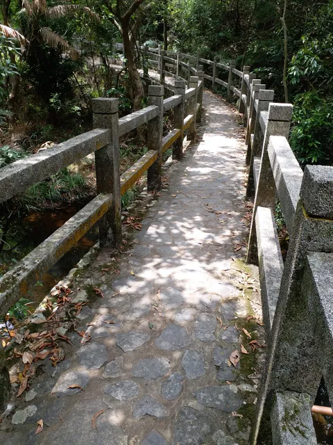 Lau Shui Heung Campsite