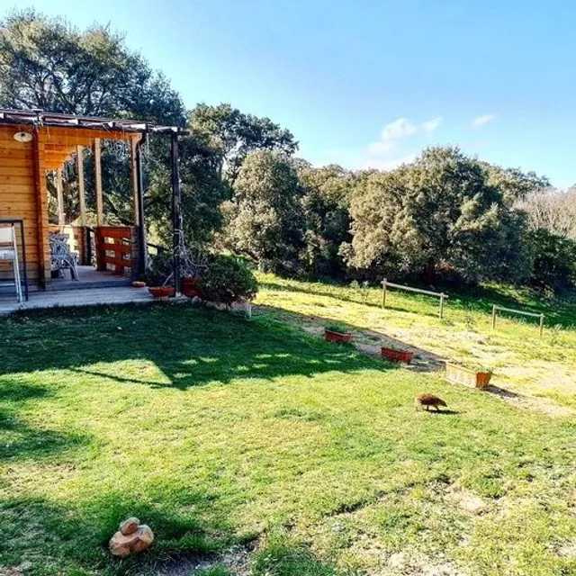 Eco Lodge nella natura Con Piscina " La Grande Quercia"