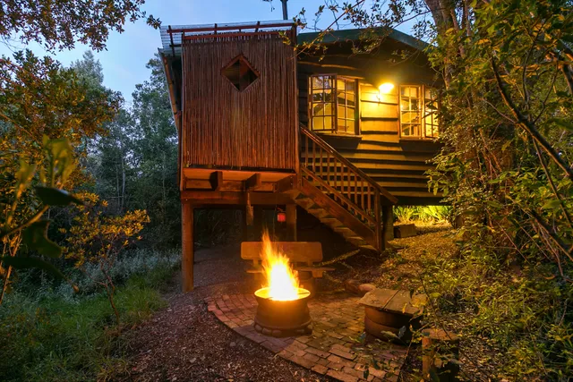 Moonshine on Whiskey Creek