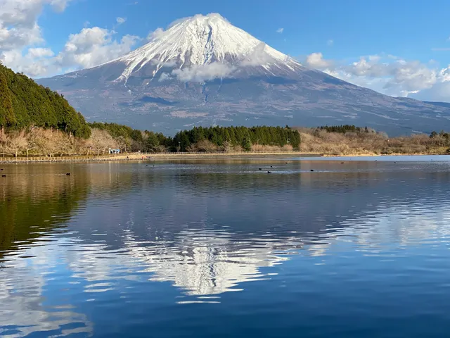 Lake Tanuki Observation Deck