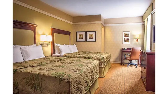 The Hotel @ New York City