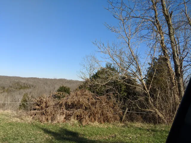 Scenic View Church of Christ Inc