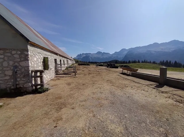 Refuge Division Julia