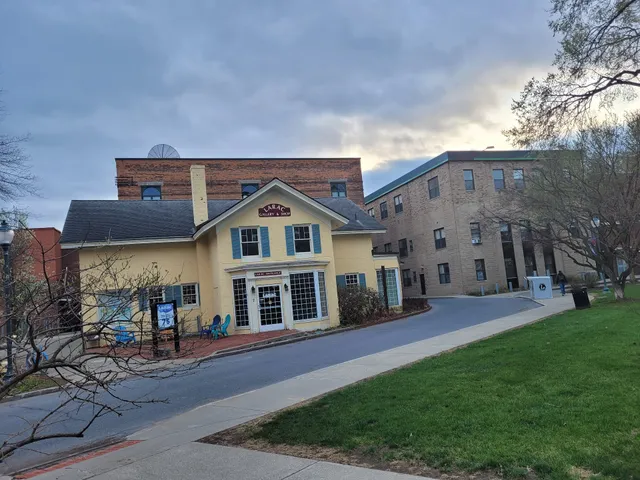 Lower Adirondack Regional Arts