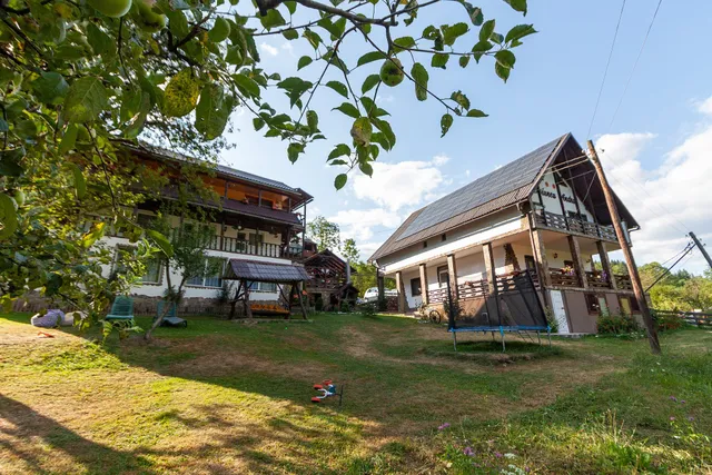 Pensiunea Andra Albac