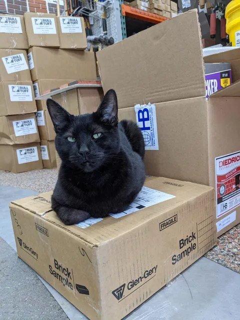 Casa Building Materials