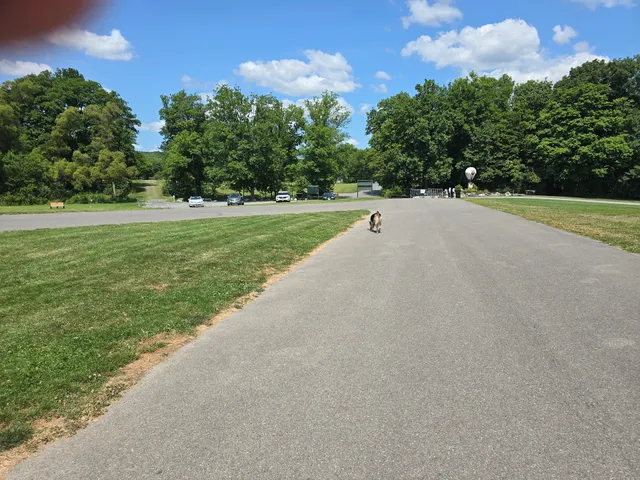 Jamesville beach off leash dog park