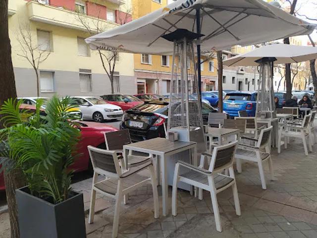 The Bear and the Madroño