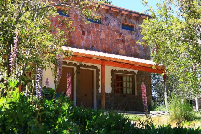 Cabañas Newen Mahuida