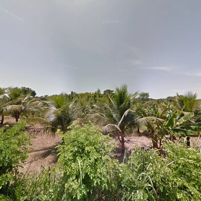 Padaria & Mercearia Gonçalense