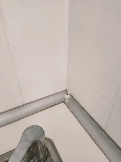 Neighbours Apartments