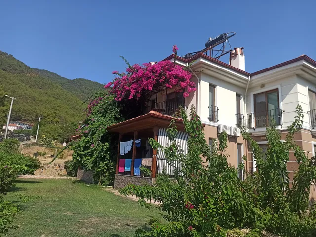 Begonville Apart Pension