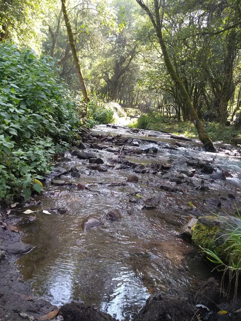 ecoturístico dos aguas Park