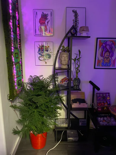 Dojo Haus - Cultural Center for arts, creativity and music