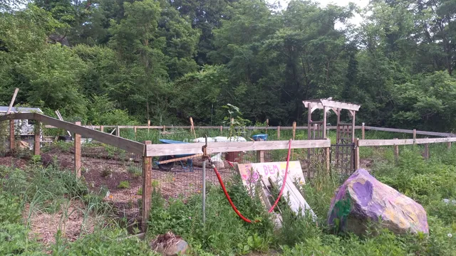 The Sanctuary Healing Farm + Gardens