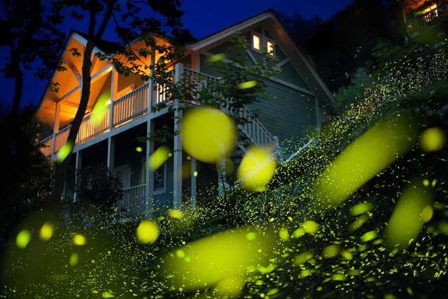 遇見彩虹生態村（原若蘭山莊螢火蟲保育區）