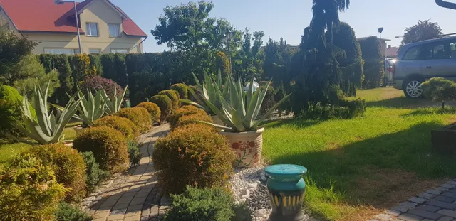 Asteria Pension - accommodation at the seaside Wladyslawowo