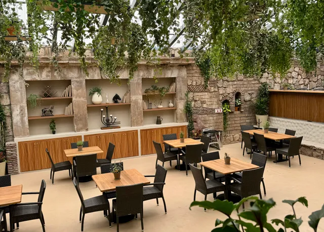 DAILY PICK LÁZARO CARDENAS