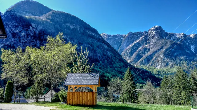 Kravanja Zvonko - Sobodajalec