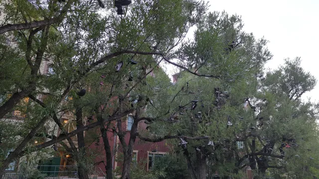 Shoe Tree Park