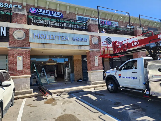 Molly Tea (Houston Chinatown)