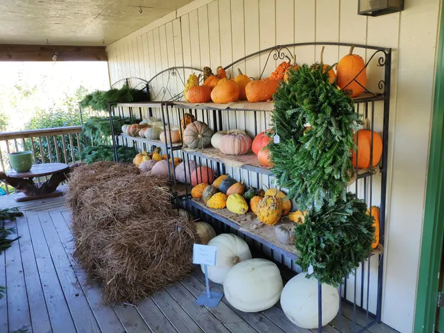 Kitty Hawk Garden Center