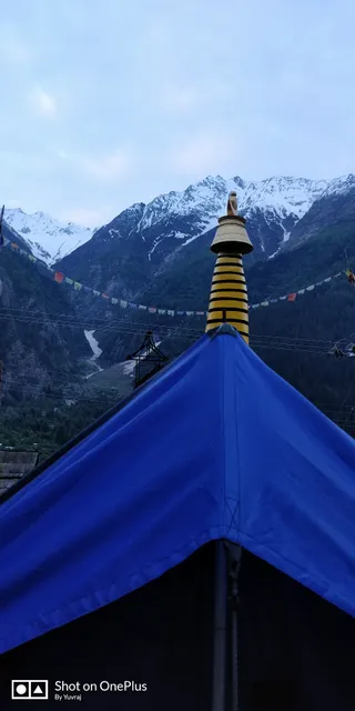 Sangla Apple Farm and Camping Resort