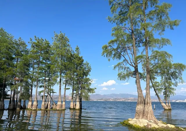 Longkan Ancient Ferry