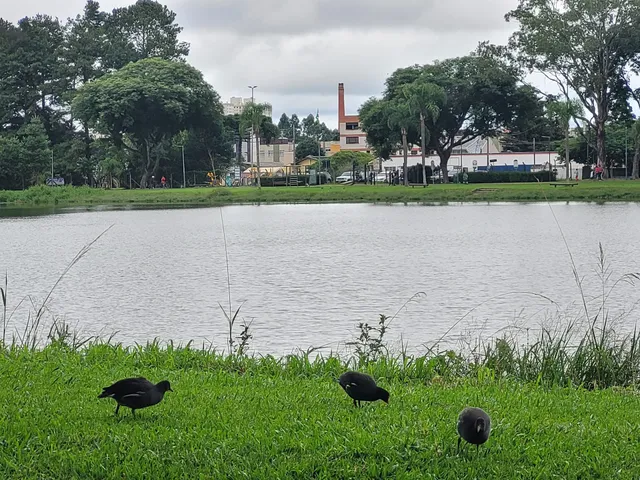 Parque Bacacheri - Acesso Rua Nicarágua