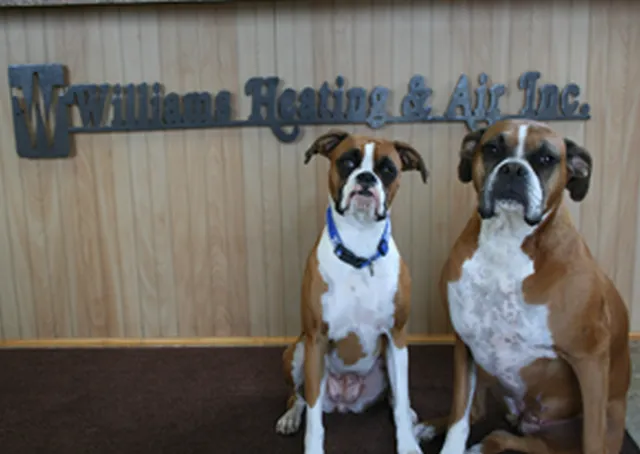 Williams Heating & Air