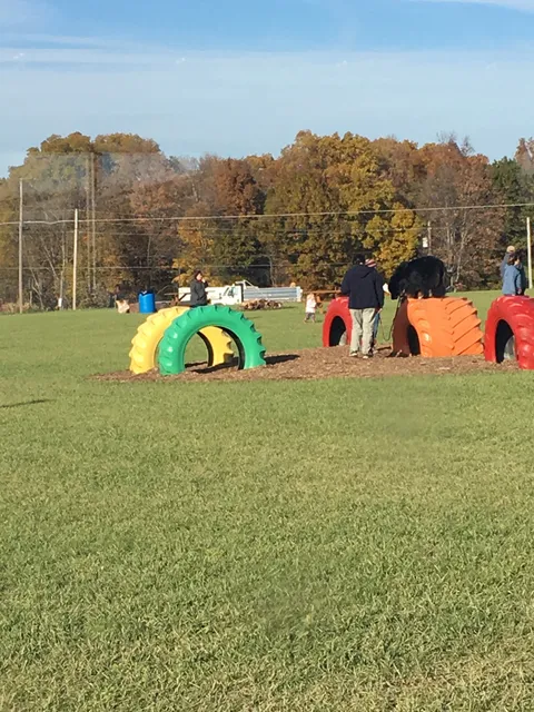 Maze Craze Corn Maze