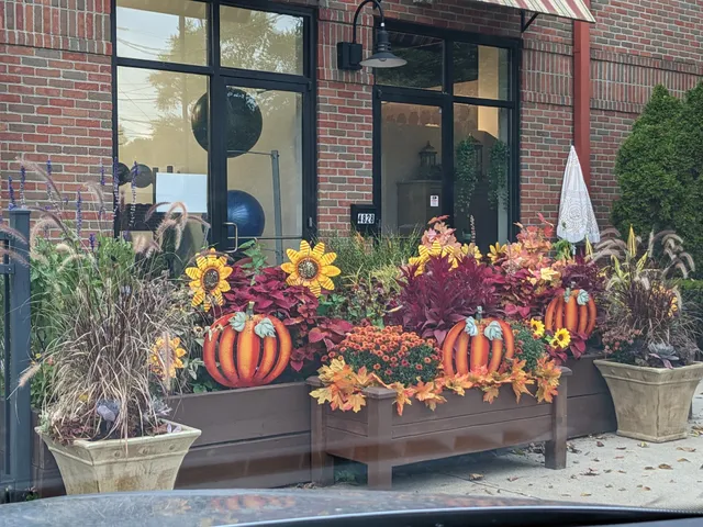 The Blue Daffodil Salon and Spa