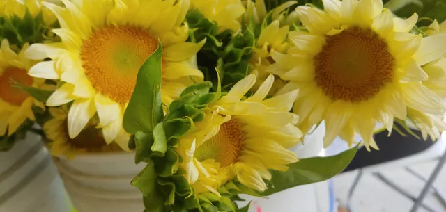 Ruth Bennett Community Farm