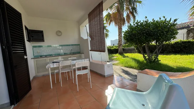 L' Orchidea delle Eolie