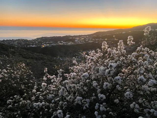 Viewpoint at Temescal Ridge Trail