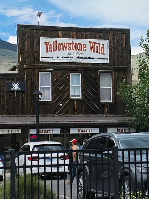 Yellowstone Wild The Gallery